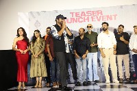 ZEBRA Movie Teaser Launch